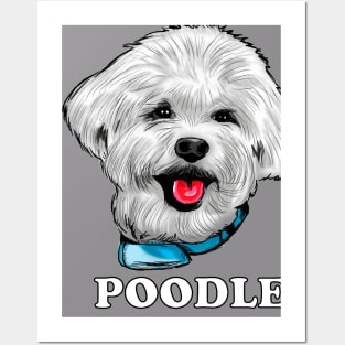 Poodle Posters and Art